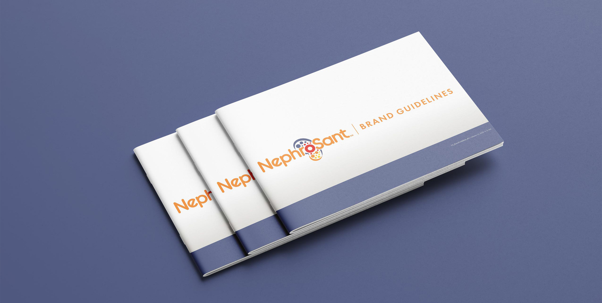 nephrosant brand guidelines cover