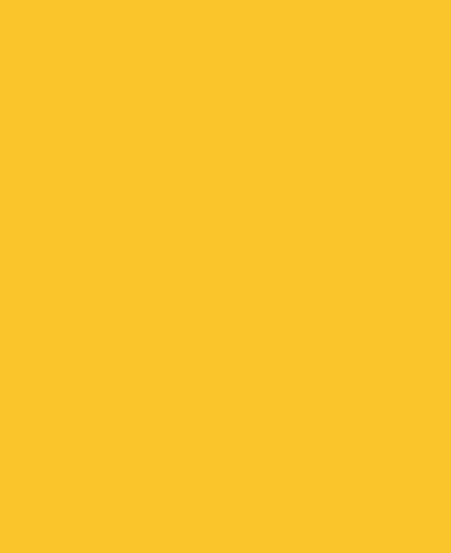 cognition bg yellow